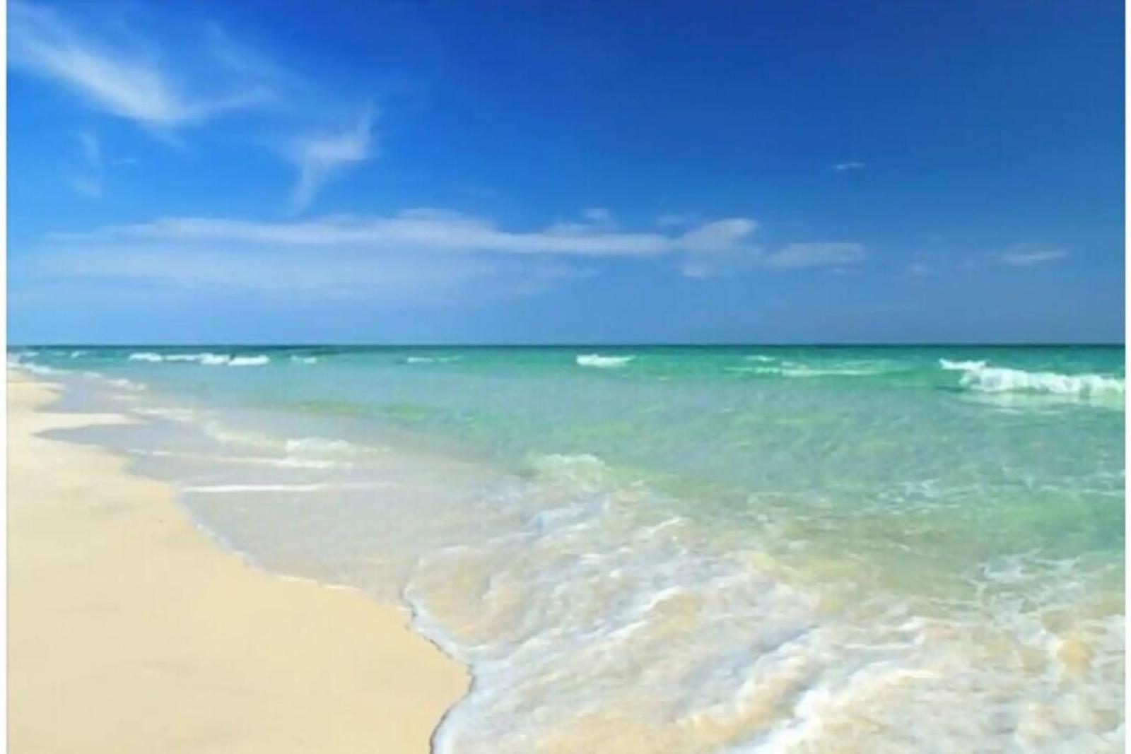 Beachfront Getaway In Siesta Key Esterno foto